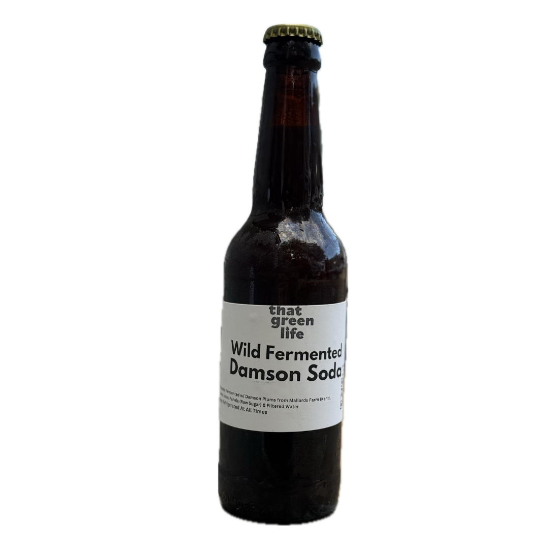 Fermented Damson Soda