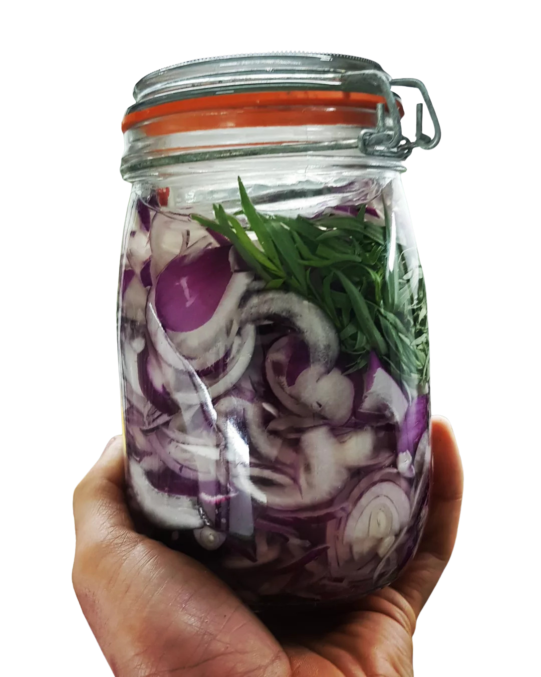 Tarragon Pickled Red Onion (280g) Limited Run