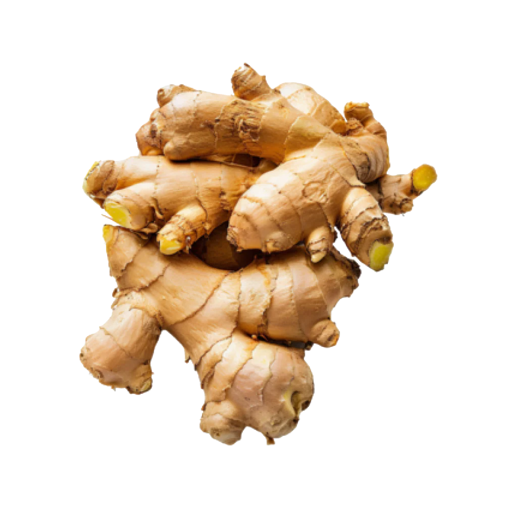 Ugandan Ginger
